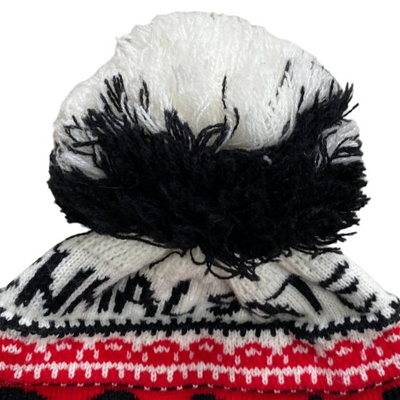 Ruth Robin Colorado Centennial State Spell-out Toboggan Earflap Pom Beanie Hat - Picture 5 of 15